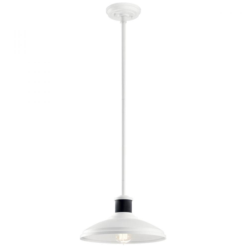 Outdoor Pendant/Semi Flush 1Lt