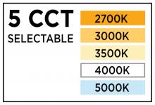 PROG_CCT-Graphic_5CCT-2700K-3000K-3500K-4000K-5000K_CCT.jpg