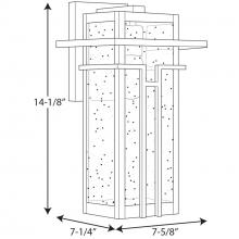 PROG_P560111-020dimensions_lineart.jpg