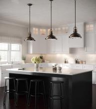 PROG_Traditional_Kitchen_2_P5188-108_3D_appshot.jpg