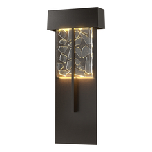 Hubbardton Forge 302518-LED-14-YP0669 - Shard XL Outdoor Sconce