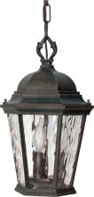 Nuvo 60/796 - Fordham - 3 Light - 16" - Hanging Lantern - w/ Clear Water Glass