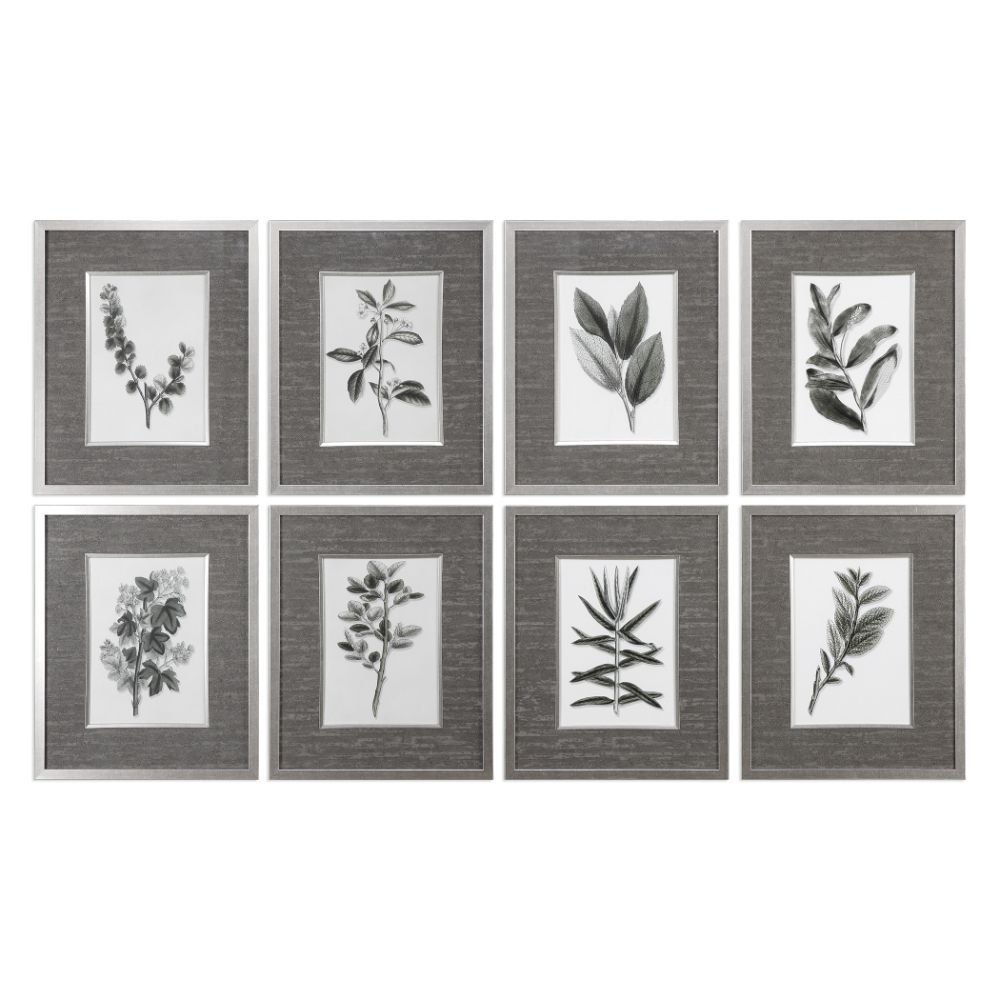 Uttermost Sepia Gray Leaves Prints S/8