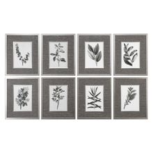 Uttermost 33658 - Uttermost Sepia Gray Leaves Prints S/8