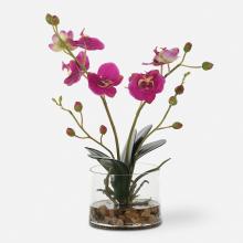 Uttermost 60220 - Uttermost Glory Fuchsia Orchid